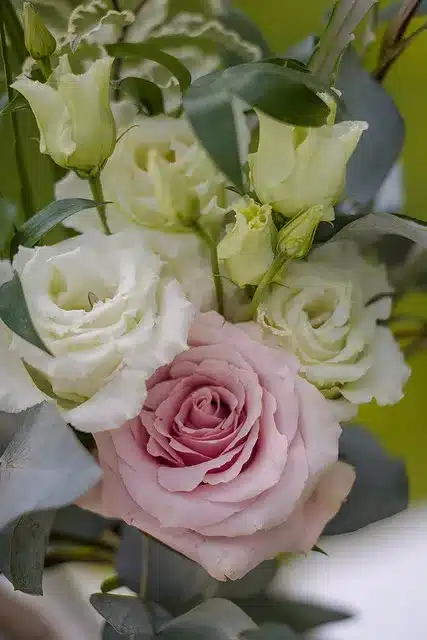 Leica CL review vs Leica M240